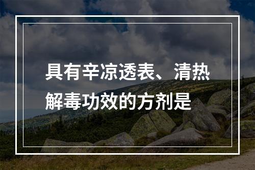 具有辛凉透表、清热解毒功效的方剂是