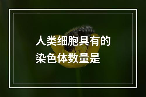 人类细胞具有的染色体数量是