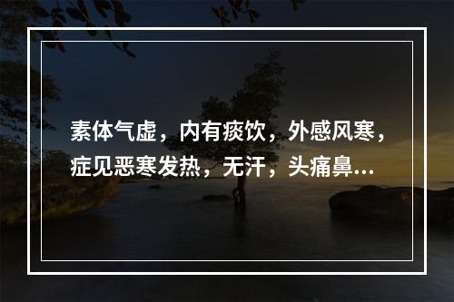 素体气虚，内有痰饮，外感风寒，症见恶寒发热，无汗，头痛鼻塞，