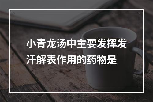 小青龙汤中主要发挥发汗解表作用的药物是