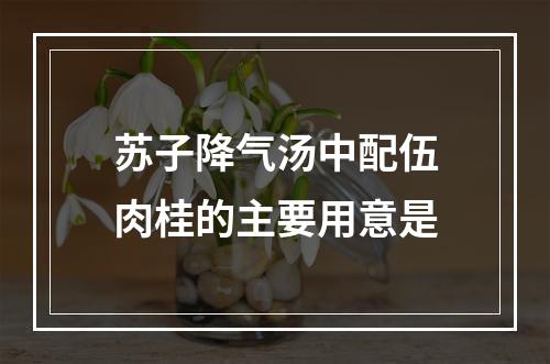 苏子降气汤中配伍肉桂的主要用意是