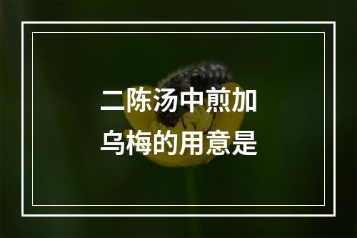 二陈汤中煎加乌梅的用意是