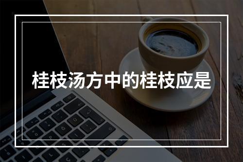 桂枝汤方中的桂枝应是