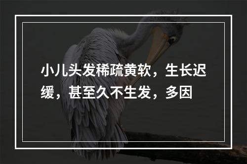 小儿头发稀疏黄软，生长迟缓，甚至久不生发，多因