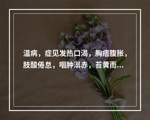 温病，症见发热口渴，胸痞腹胀，肢酸倦怠，咽肿溺赤，苔黄而腻，