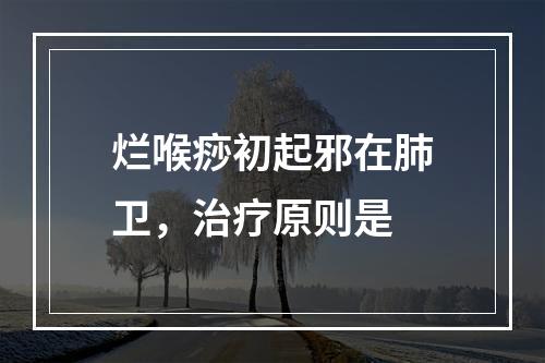 烂喉痧初起邪在肺卫，治疗原则是