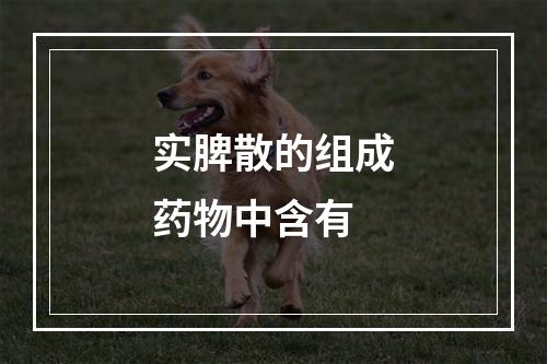 实脾散的组成药物中含有