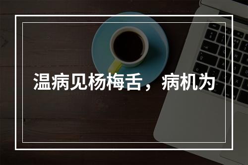 温病见杨梅舌，病机为