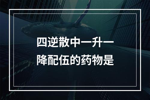 四逆散中一升一降配伍的药物是