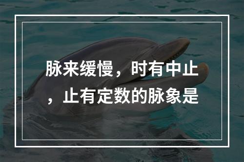 脉来缓慢，时有中止，止有定数的脉象是