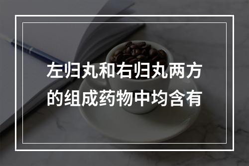 左归丸和右归丸两方的组成药物中均含有