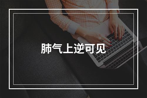 肺气上逆可见