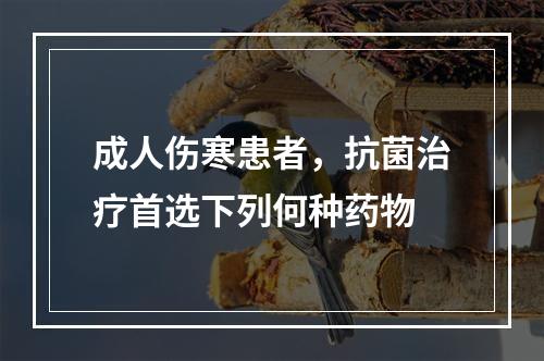 成人伤寒患者，抗菌治疗首选下列何种药物