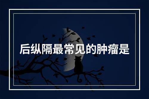 后纵隔最常见的肿瘤是