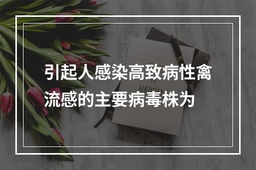 引起人感染高致病性禽流感的主要病毒株为