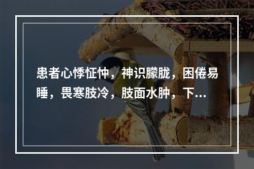 患者心悸怔忡，神识朦胧，困倦易睡，畏寒肢冷，肢面水肿，下肢为