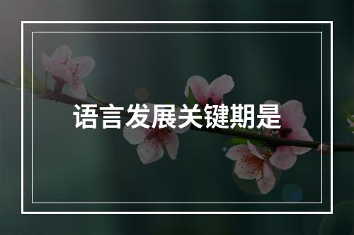 语言发展关键期是