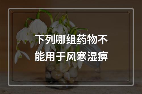 下列哪组药物不能用于风寒湿痹