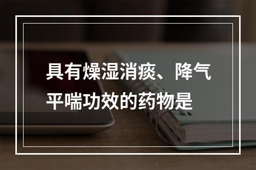 具有燥湿消痰、降气平喘功效的药物是