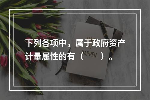 下列各项中，属于政府资产计量属性的有（　　）。