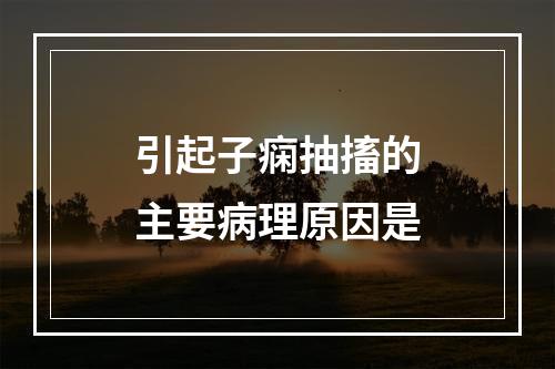 引起子痫抽搐的主要病理原因是