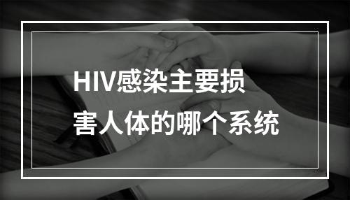 HIV感染主要损害人体的哪个系统