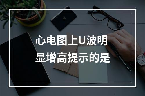 心电图上U波明显增高提示的是