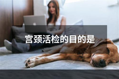 宫颈活检的目的是