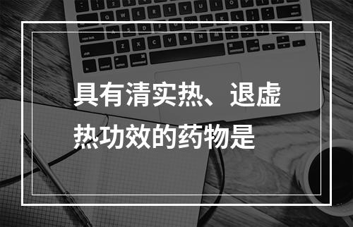 具有清实热、退虚热功效的药物是