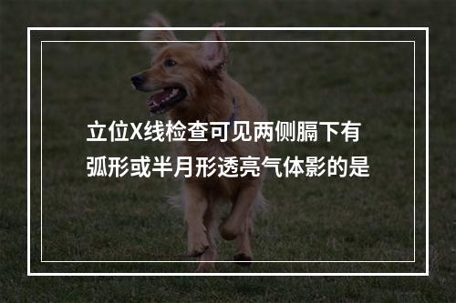 立位X线检查可见两侧膈下有弧形或半月形透亮气体影的是