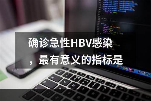 确诊急性HBV感染，最有意义的指标是