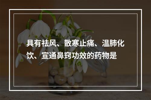 具有祛风、散寒止痛、温肺化饮、宣通鼻窍功效的药物是