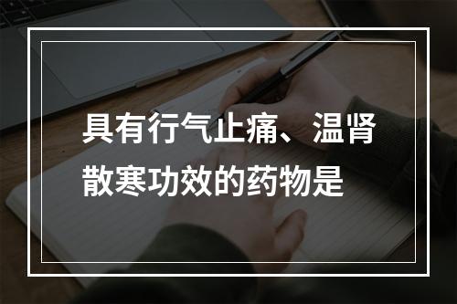 具有行气止痛、温肾散寒功效的药物是