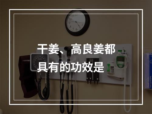 干姜、高良姜都具有的功效是