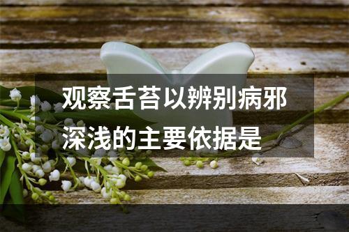 观察舌苔以辨别病邪深浅的主要依据是