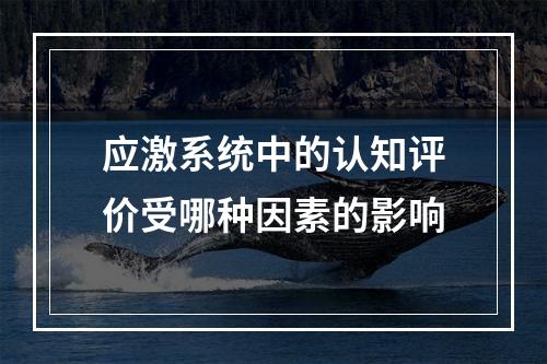 应激系统中的认知评价受哪种因素的影响