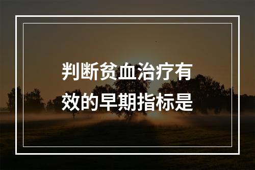 判断贫血治疗有效的早期指标是