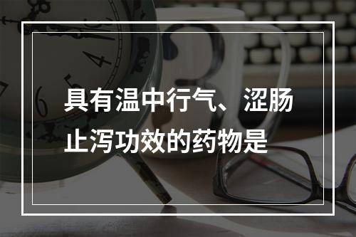 具有温中行气、涩肠止泻功效的药物是