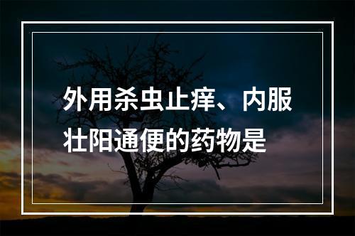 外用杀虫止痒、内服壮阳通便的药物是