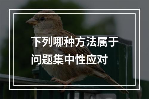 下列哪种方法属于问题集中性应对