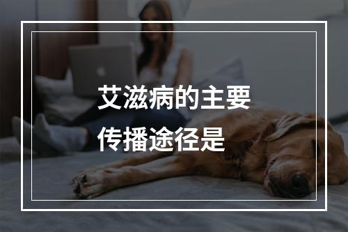 艾滋病的主要传播途径是