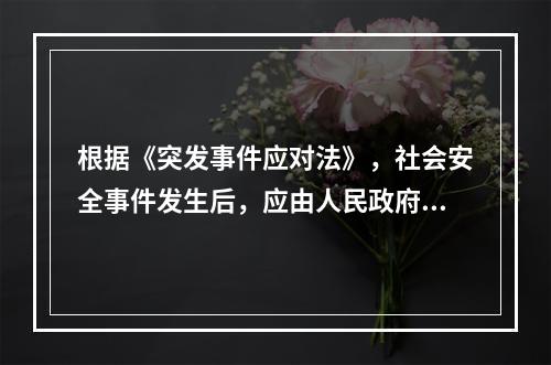 根据《突发事件应对法》，社会安全事件发生后，应由人民政府组织