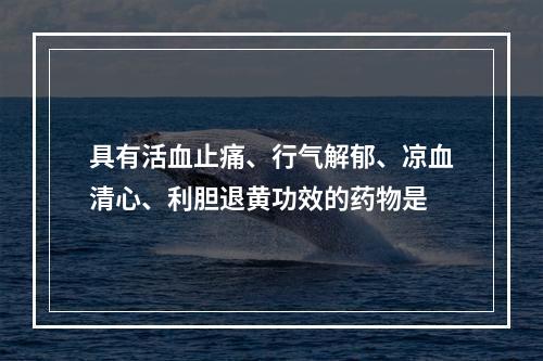 具有活血止痛、行气解郁、凉血清心、利胆退黄功效的药物是