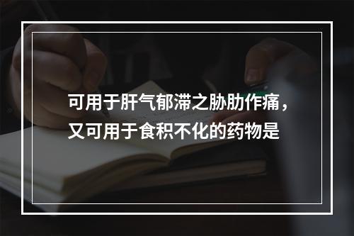 可用于肝气郁滞之胁肋作痛，又可用于食积不化的药物是