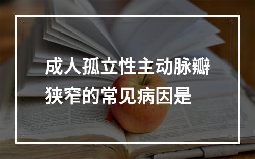 成人孤立性主动脉瓣狭窄的常见病因是