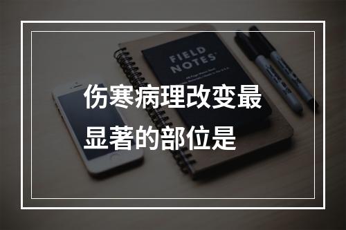 伤寒病理改变最显著的部位是