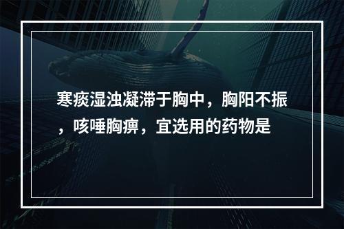 寒痰湿浊凝滞于胸中，胸阳不振，咳唾胸痹，宜选用的药物是