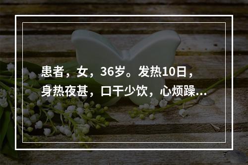 患者，女，36岁。发热10日，身热夜甚，口干少饮，心烦躁扰，