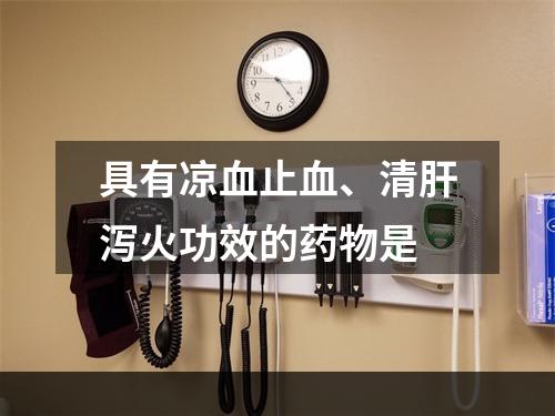 具有凉血止血、清肝泻火功效的药物是