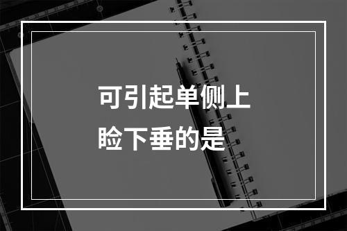 可引起单侧上睑下垂的是